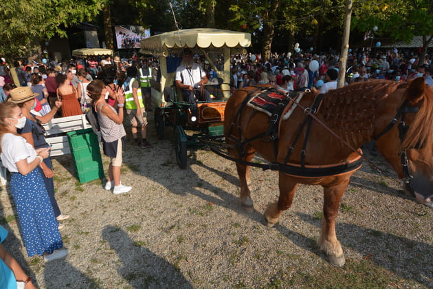 freres_saint_jean_mdemarie le M de Marie à Pellevoisin
