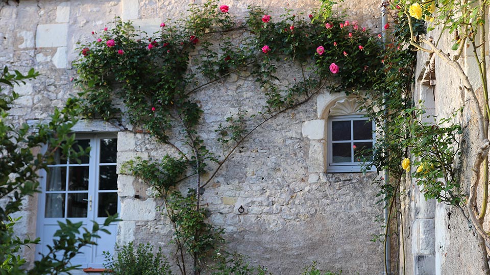 freres_saint_jean©Sabine-de-Rozieres3 donner,legs,donnation,donnations,donation,assurance,vie,frères,de,Saint-Jean,saint,Jean,communaute,Comunauté,St,Congrégation,Petits,Gris,moine,moines,regligieux,testament,patrimoine,leguer,don,dons,legue,lègue,léguer,leg,donations,assurance-vie,avantages,fiscaux,bénéficiaire,réduction,impot,impôts